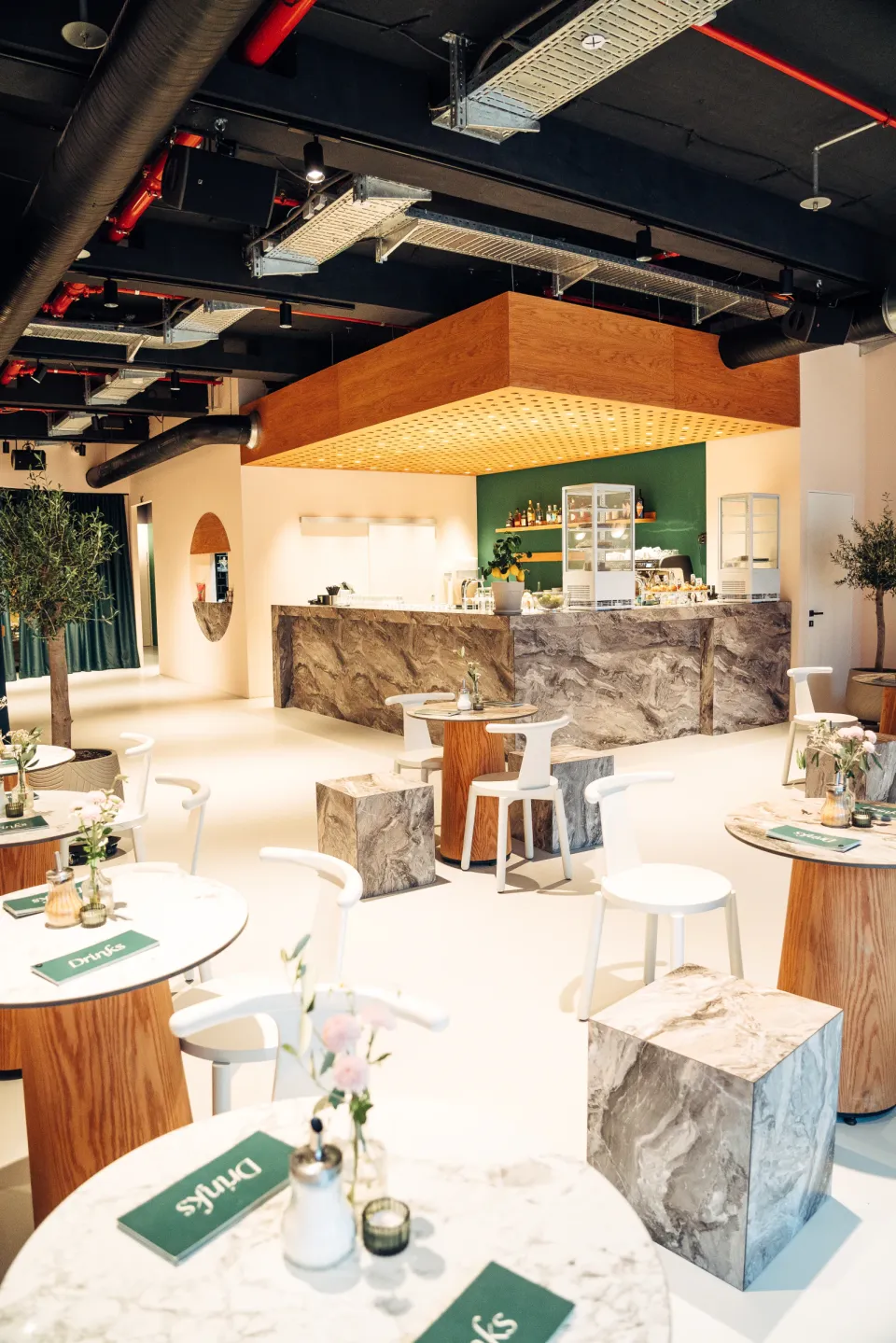 OSCHO: guest area with marble counter, wooden tables, white chairs and olive trees